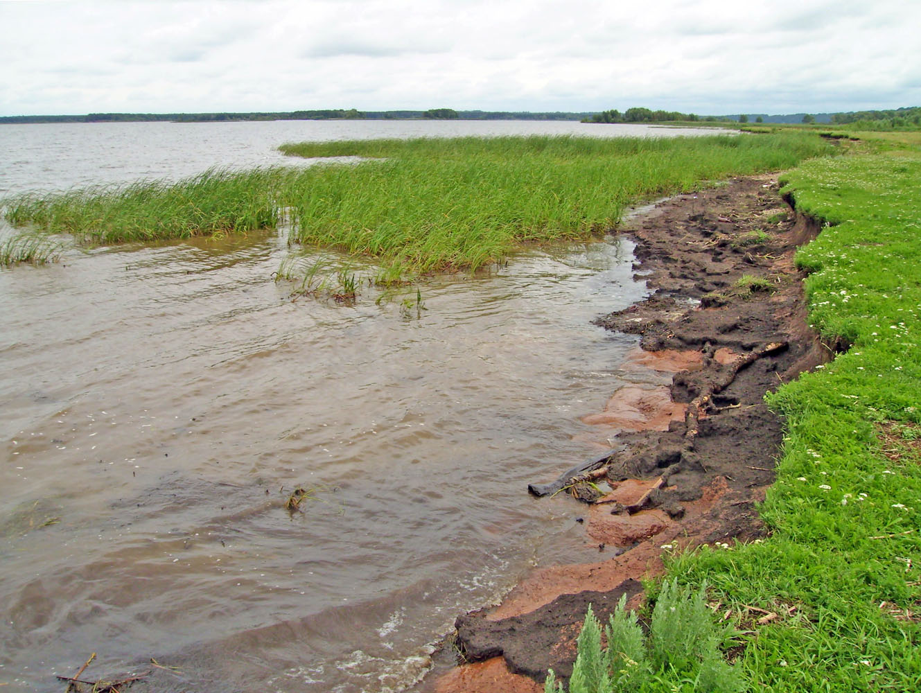 Куйбышевское водохранилище, изображение ландшафта.