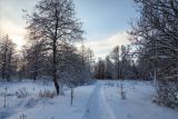 Луговой парк, изображение ландшафта.