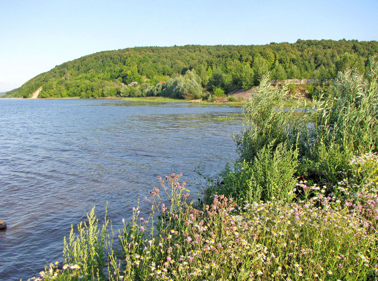 Куйбышевское водохранилище, изображение ландшафта.