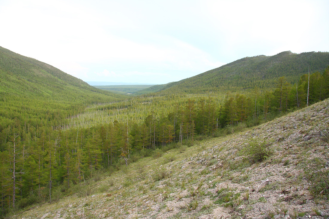 Окрестности Северного, image of landscape/habitat.