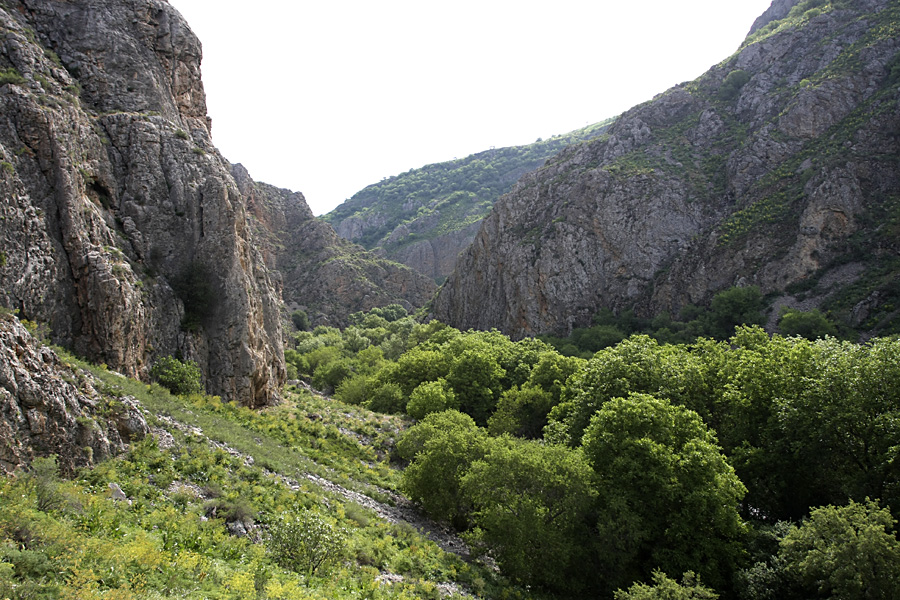 Ущелье Машат, image of landscape/habitat.