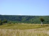 Первомайское, image of landscape/habitat.