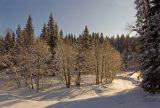 Северный Юг, image of landscape/habitat.