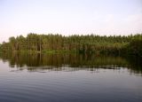 Вязниковские озера, изображение ландшафта.