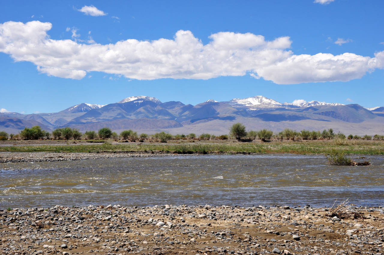 Долина реки Бохморон-Гол, image of landscape/habitat.