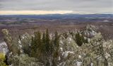 Окрестности села Вознесенка, image of landscape/habitat.