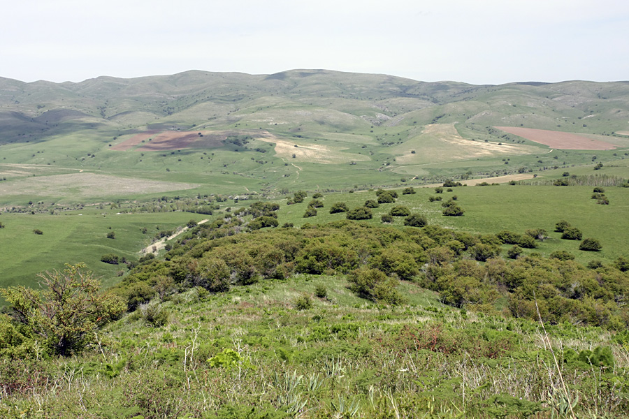 Боролдайтау - северный склон, изображение ландшафта.