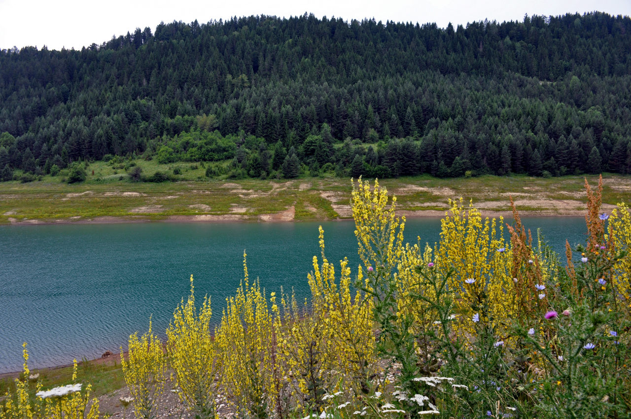 Западный берег озера Заовине, изображение ландшафта.
