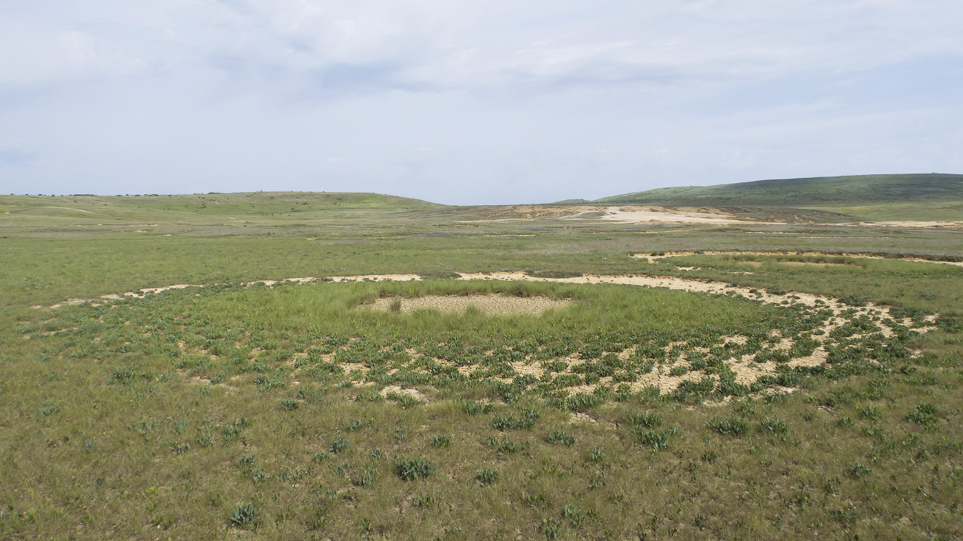Булганакское сопочное поле, изображение ландшафта.