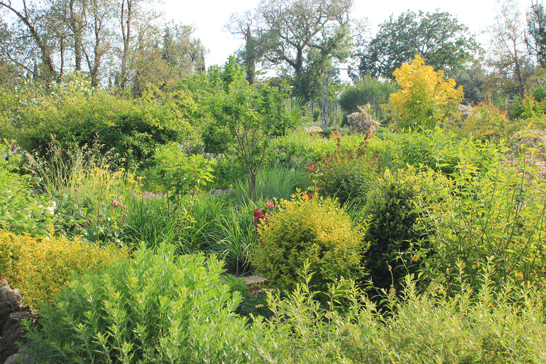 Никитский ботанический сад, изображение ландшафта.