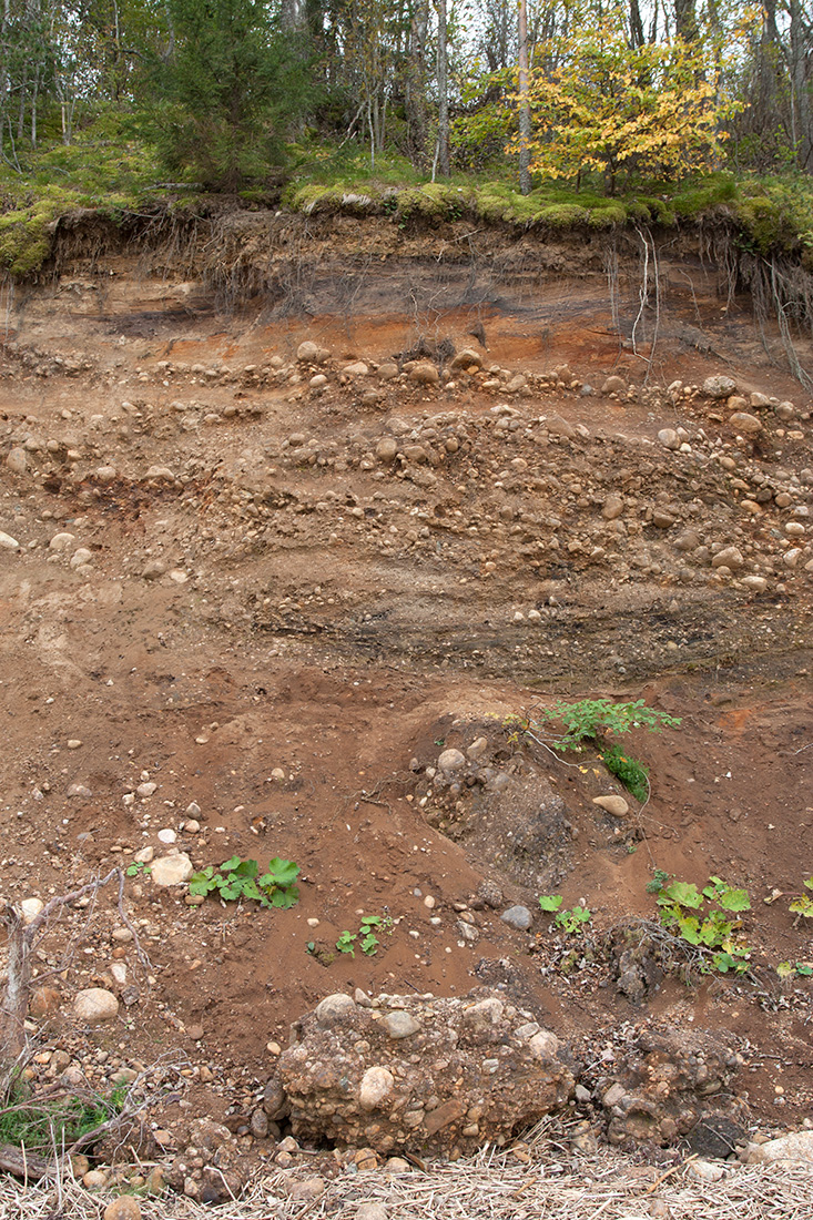 Красная Горка, image of landscape/habitat.