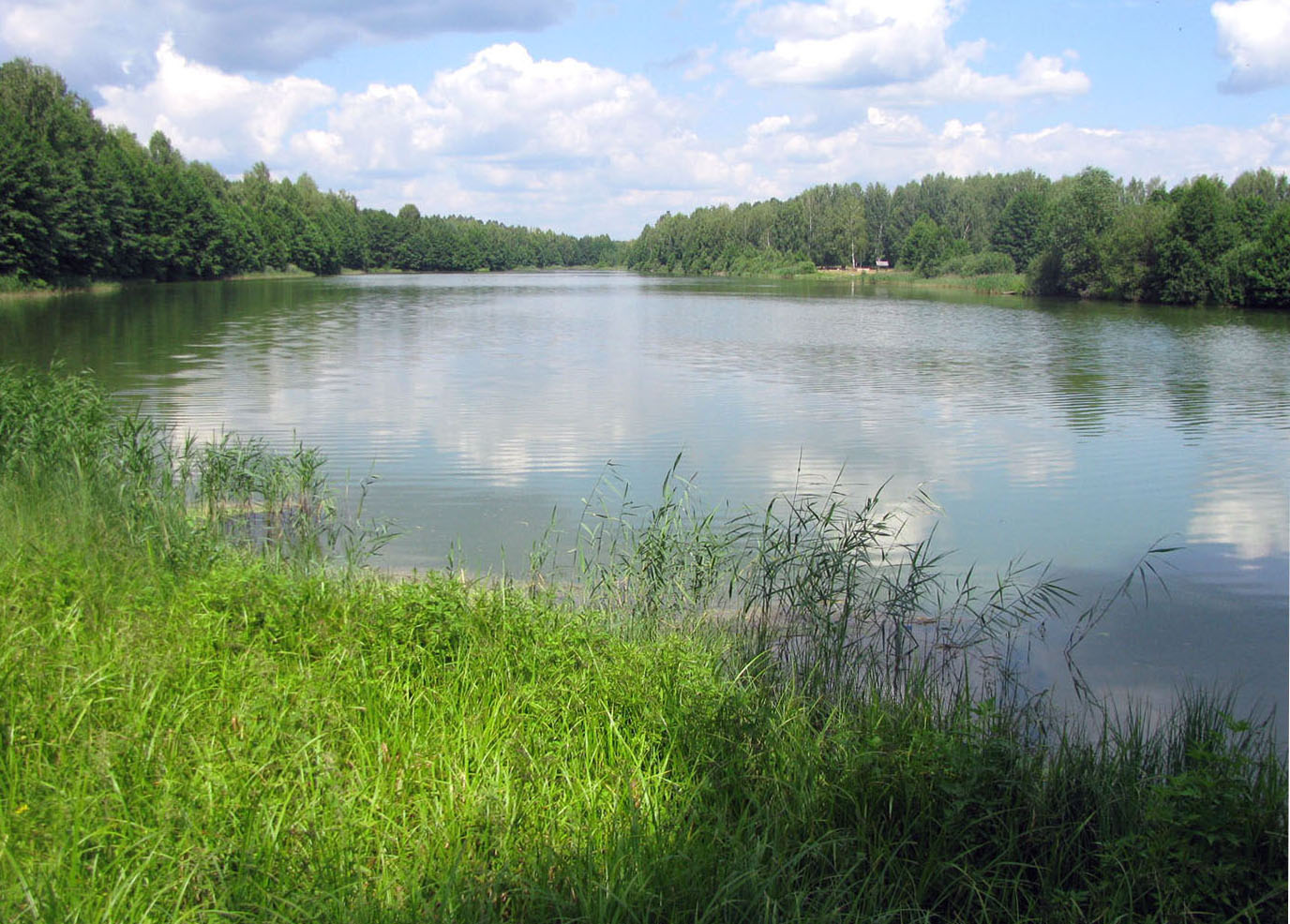 Чувашское Заволжье, изображение ландшафта.