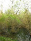 Водохранилище на реке Садорра, image of landscape/habitat.
