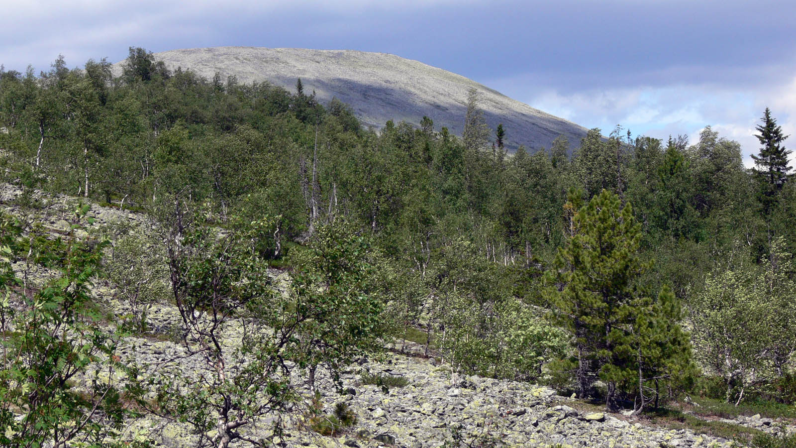 Сосьвинский хребет, изображение ландшафта.