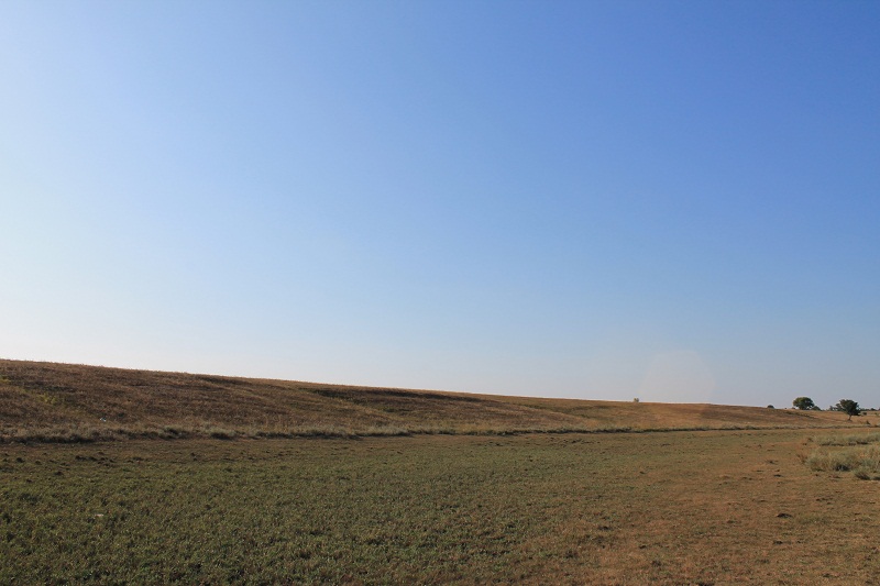 Отрог балки Широкой, изображение ландшафта.
