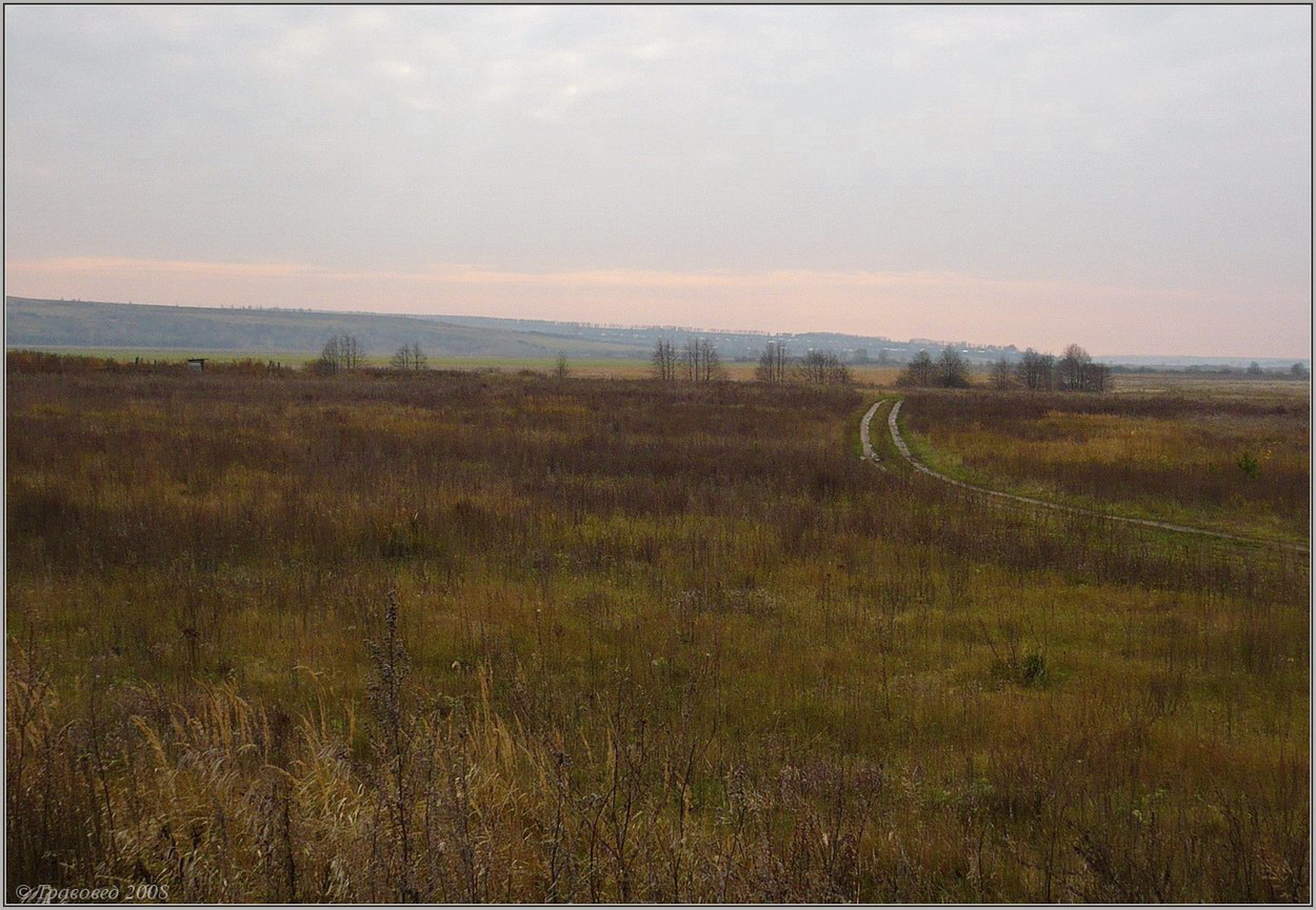 Старая Пьяна, image of landscape/habitat.