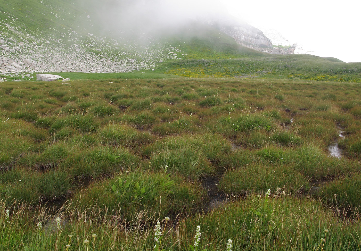 Юго-восточный отрог Оштена, image of landscape/habitat.