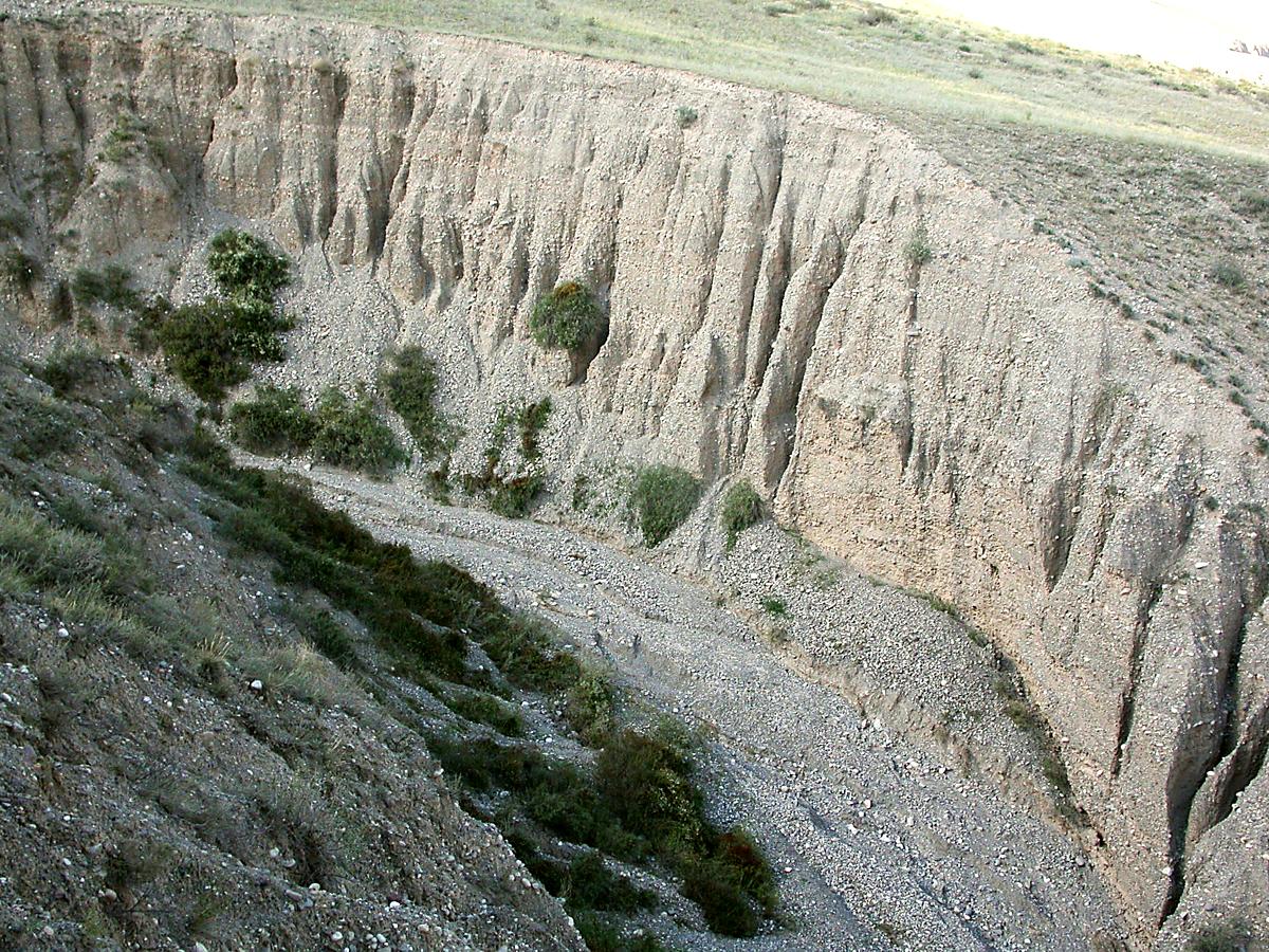 Верховья Шарына, изображение ландшафта.