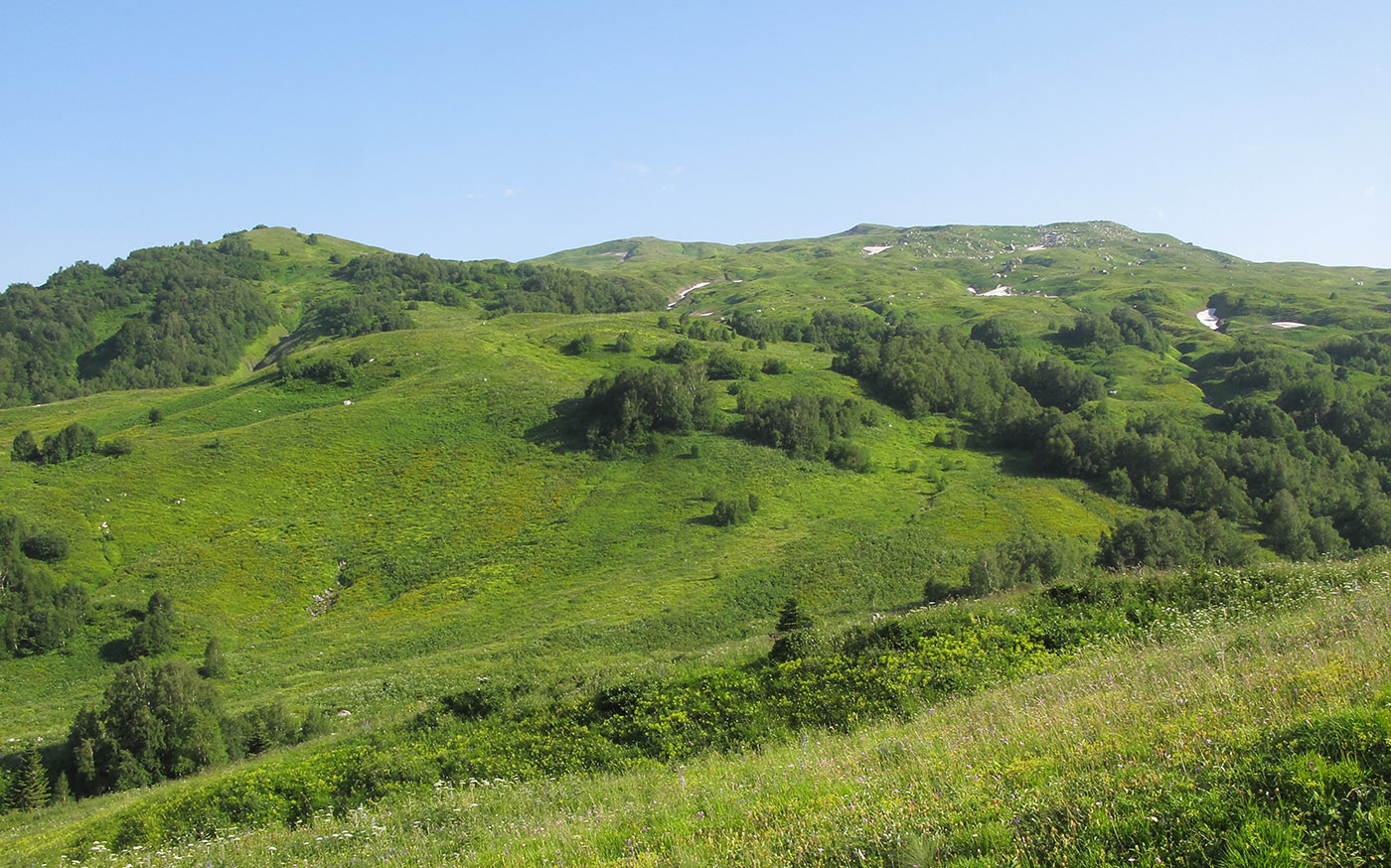 Гора Гузерипль, изображение ландшафта.