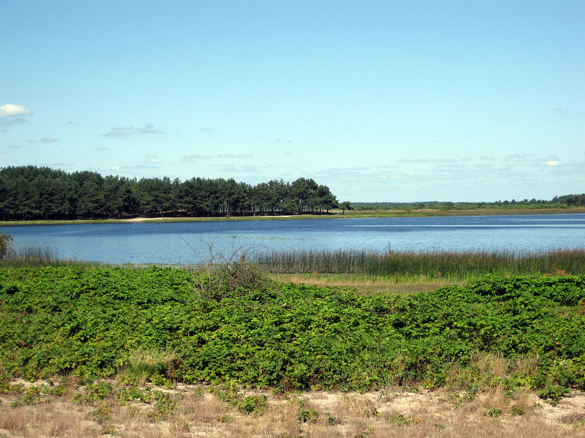 Озеро Святое, изображение ландшафта.