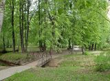 Воронцовский парк, изображение ландшафта.