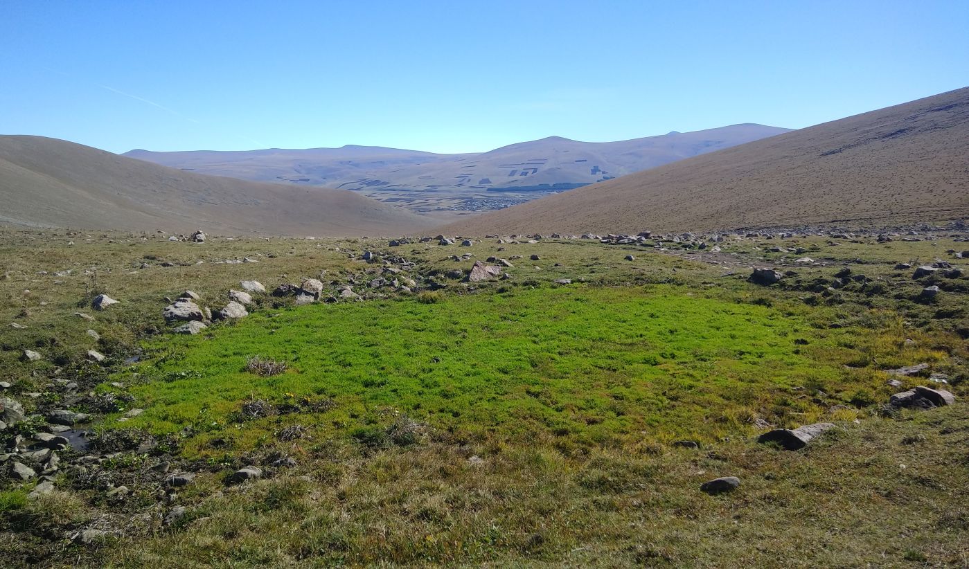 Гора Патара Абули, изображение ландшафта.