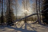 Окрестности хребта Ялангас, изображение ландшафта.