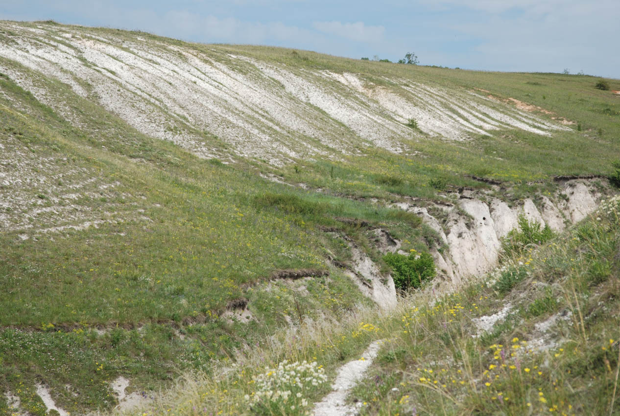 Костомарово, изображение ландшафта.