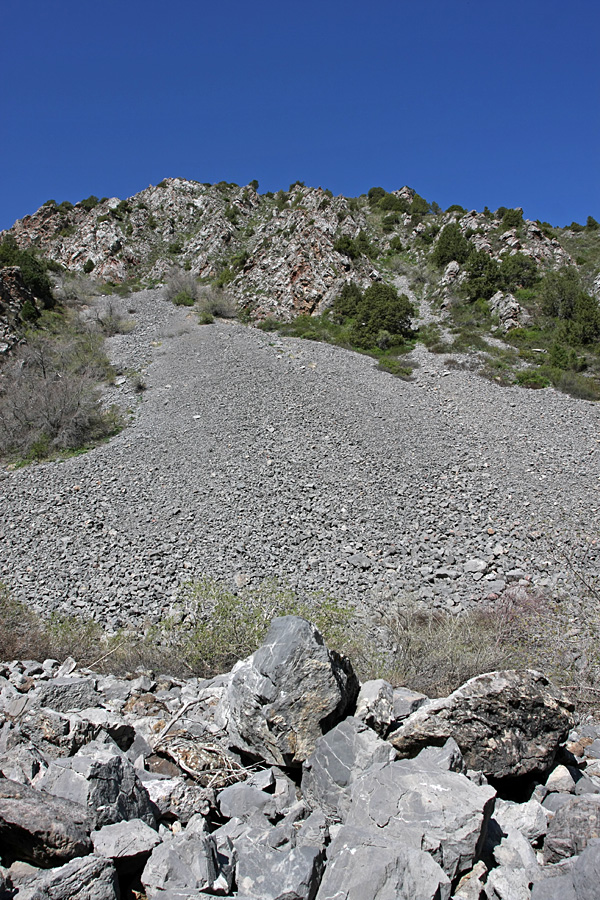 Ущелье Иргайлы, изображение ландшафта.