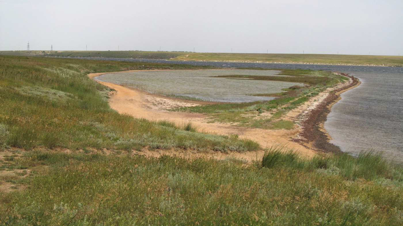 Донузлав, image of landscape/habitat.