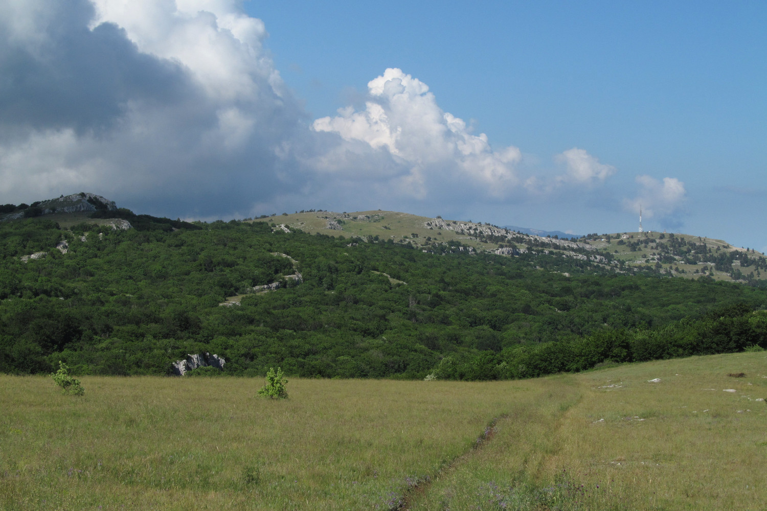 Ай-Петринская яйла, изображение ландшафта.