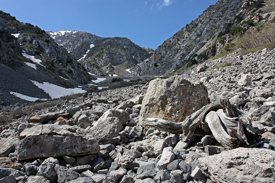 Ущелье Иргайлы, image of landscape/habitat.