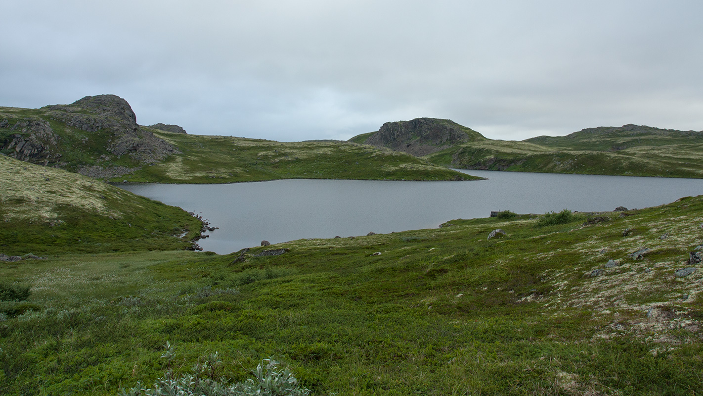 Поздняковское озеро, изображение ландшафта.