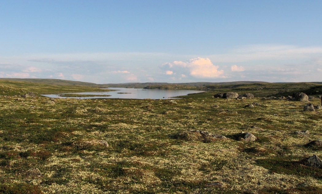 Ромасъявр, image of landscape/habitat.