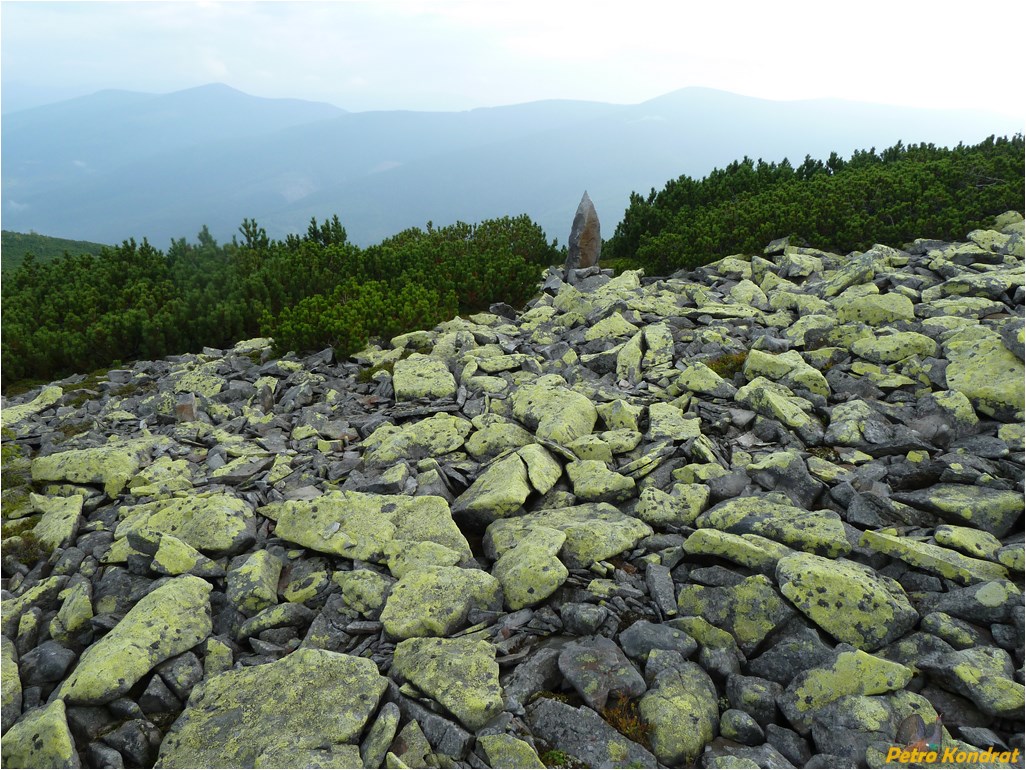 Мысливка, image of landscape/habitat.