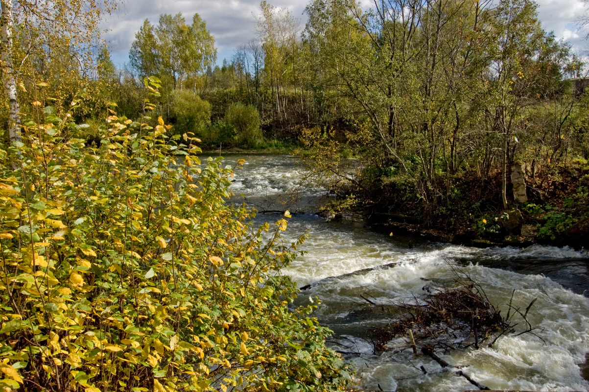 Окрестности деревни Полетаево, image of landscape/habitat.