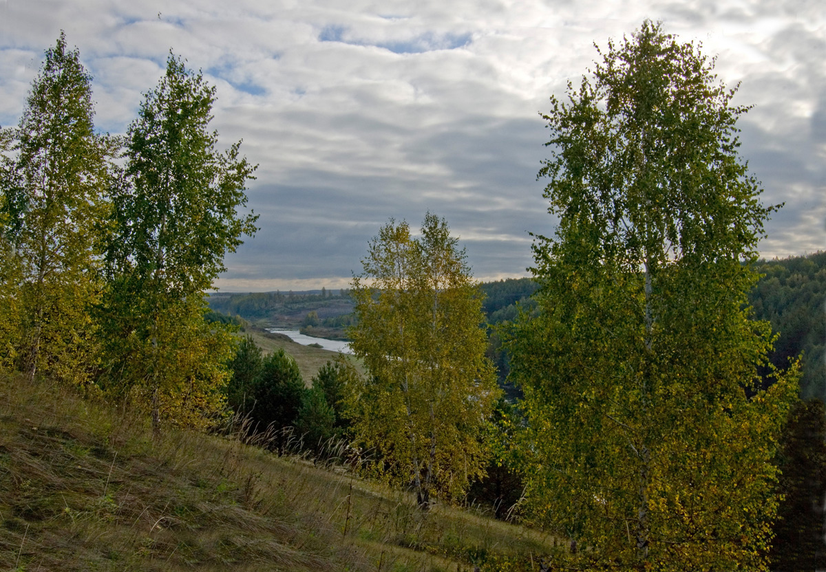 Окрестности деревни Полетаево, изображение ландшафта.
