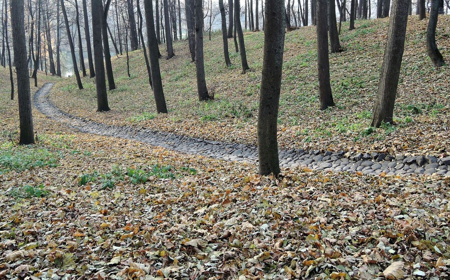 Царицыно, изображение ландшафта.