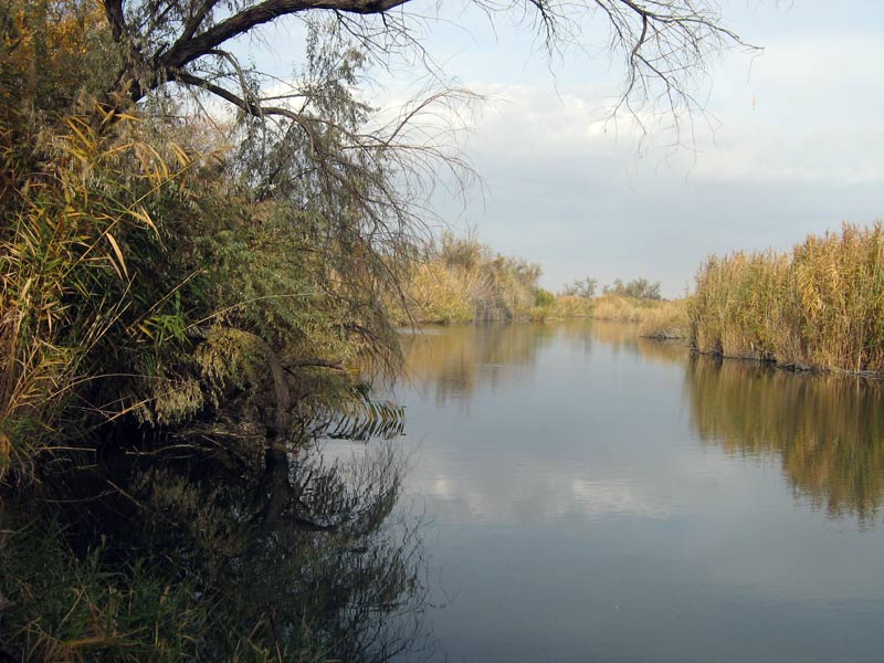 Каракульды, изображение ландшафта.