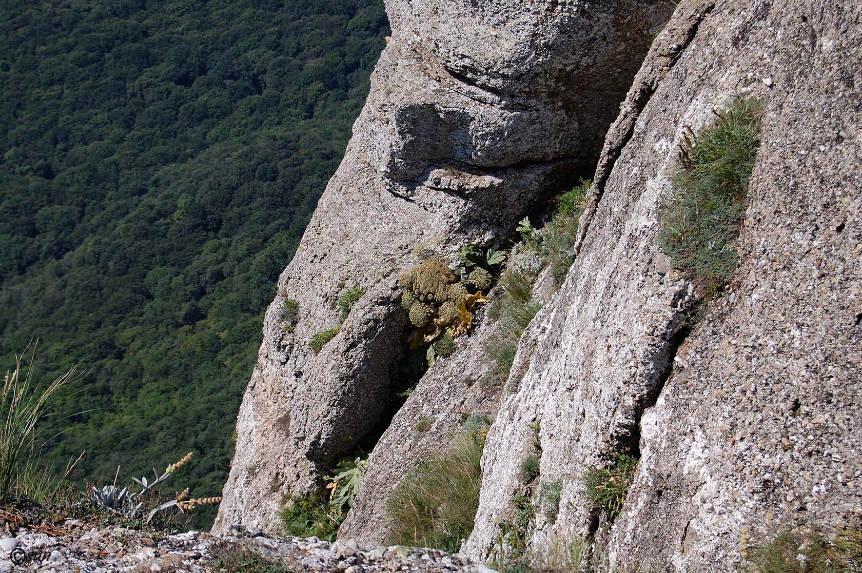 Южная Демерджи, изображение ландшафта.