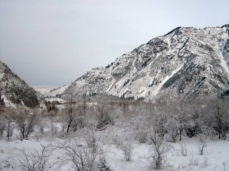 Иссык, image of landscape/habitat.
