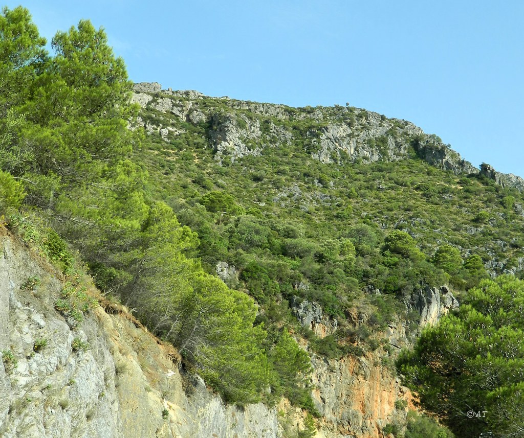 Касарес (Casares), изображение ландшафта.