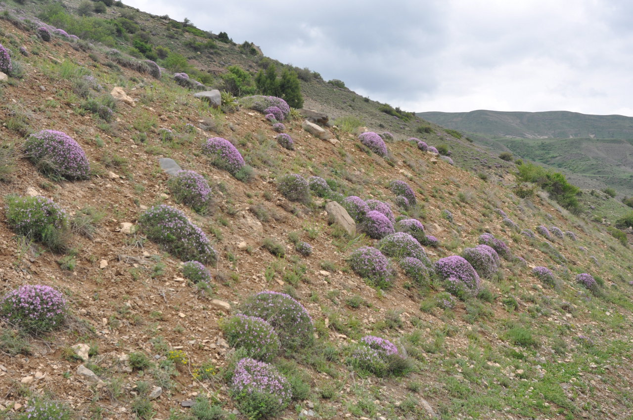 Селимский перевал, изображение ландшафта.