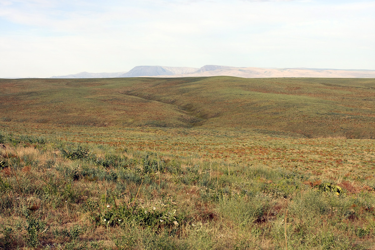 Лощина Акжар, image of landscape/habitat.