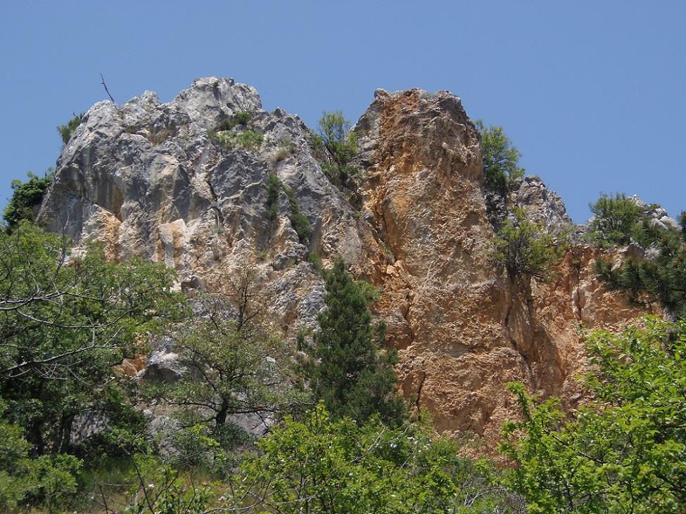Никитская расселина, изображение ландшафта.