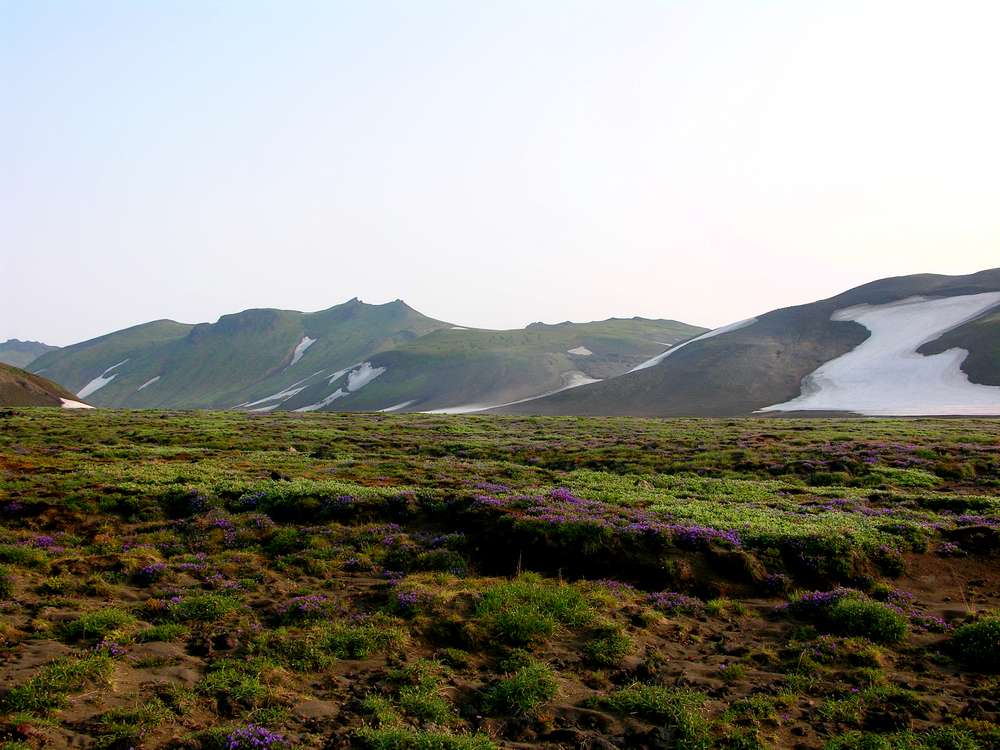 Горелинский дол, изображение ландшафта.