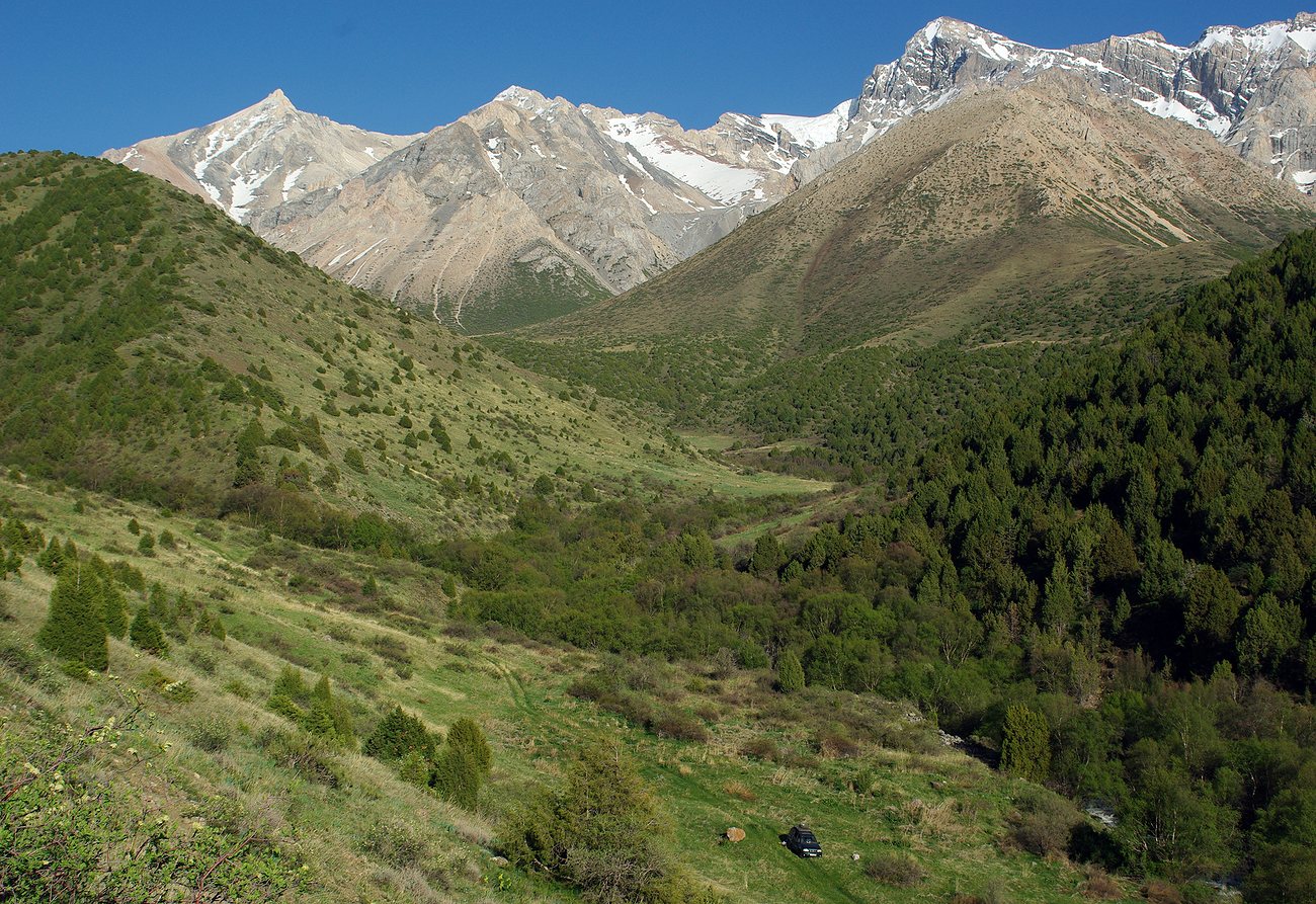 Сазаната, изображение ландшафта.