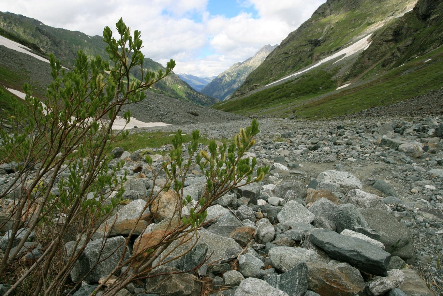 Архыз. Долина реки Псыш, image of landscape/habitat.