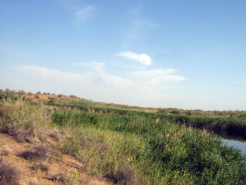 Пески Таукум, изображение ландшафта.