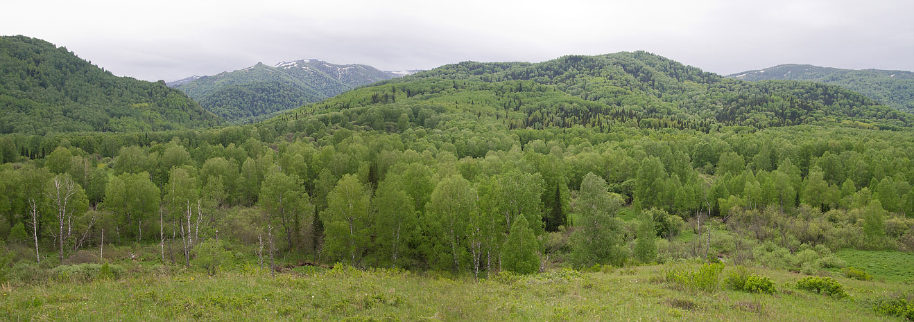 Тигирек, изображение ландшафта.